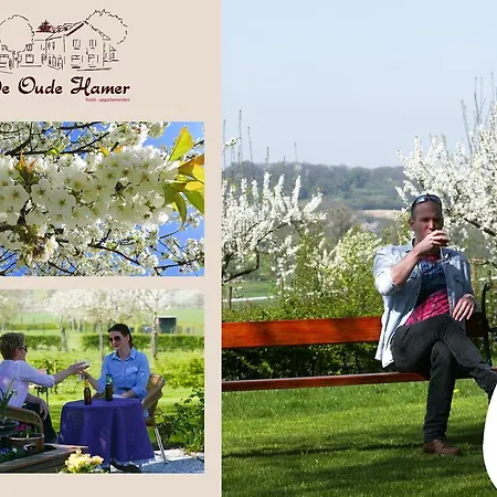 De Oude Hamer Apartahotel Malinas