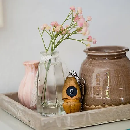 De Oude Hamer Apartahotel 2*