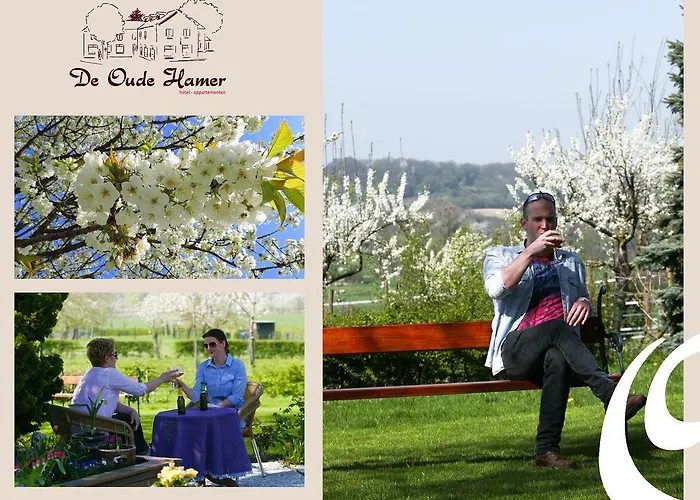 De Oude Hamer Lägenhetshotell Mechelen
